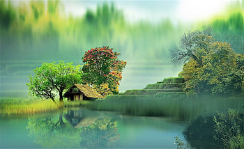 ღ, trees, digital art, art, house HD wallpaper