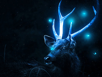 Glowing, night, blue, animal, glow, fantasy, deer, milos karanovic, luminos, patronum HD wallpaper