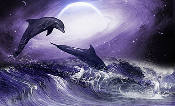 Moonlit Dolphins, artwork, water, jumping, Sea HD wallpaper