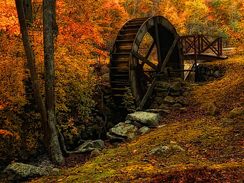 Old forest mill, colorful, creek, mill, fall, leaves, trees, autumn, nature, forest HD wallpaper