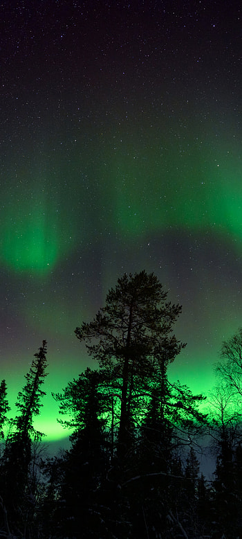 nature, aurora borealis HD phone wallpaper