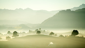 Nature, Trees, Mountains, Fog, Valley HD wallpaper