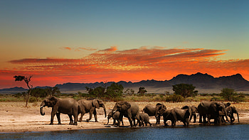 South Africa travels, Africa , gets HD wallpaper
