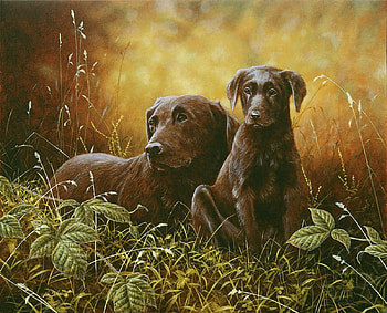 Dogs in the Plants, dogs, plants, painting, animals HD wallpaper