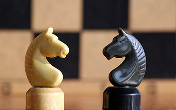 Chess, Miscellanea, Miscellaneous, Game, Horse HD wallpaper