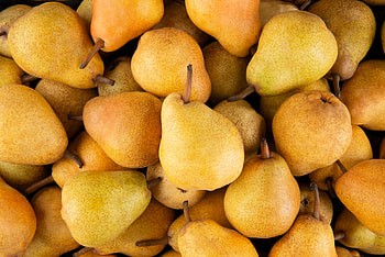 Bartlett, Pear HD wallpaper