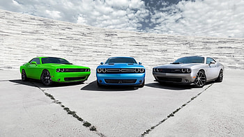 Dodge Challenger Cars, dodge-challenger, cars HD wallpaper