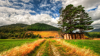 Farm in New Zealand, hills, road, clouds, landscape, trees, sky HD wallpaper