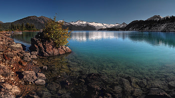 Live for Windows 10 HD wallpaper