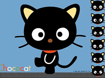 Chococat, sanrio, kitten HD wallpaper