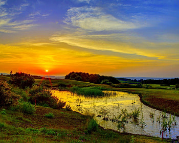 Golden sunrise, Gold, sky, nature, field HD wallpaper