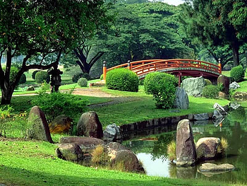 CROSS OVER THE BRIDGE, gorgeous, bridge, trees, beautiful HD wallpaper