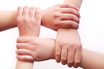 People Four Hands Holding Together, people, hand, Together, Family, Team HD wallpaper