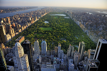 Central Park, USA HD wallpaper