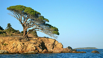 Corsica Island, Top Corsica, Corsica backgrounds HD wallpaper