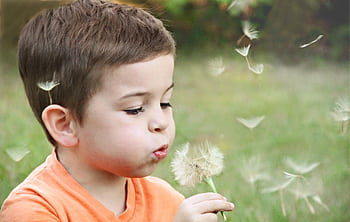 A young boy blowing dandelion seeds in a sunny park, capturing innocence. HD wallpaper