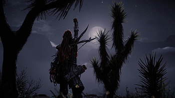 Aloy In Horizon Forbidden West Ps5 , horizon-forbidden-west, games, 2023-games, ps5-games, ps-games, ps4-games, aloy, video-games HD wallpaper