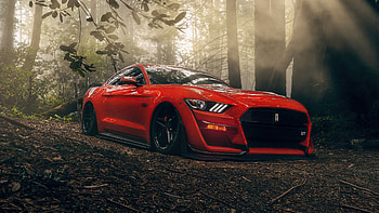 Ford Mustang Gt Forest Lord , ford-mustang, ford, cars, behance HD wallpaper