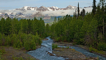 Nature, Rivers, Mountains, Clouds, Forest, Fog, Murmur, Gurgling HD wallpaper
