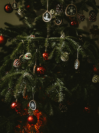 Holidays, Cones, New Year, Decorations, Christmas, Christmas Tree, Balls HD phone wallpaper