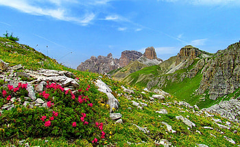 Dolomites, slope, landscape, beautiful, grass, lvoely, rocks, nice, stones, mountain, flwoers, cliffs, greenery, nature, flowers, sky HD wallpaper