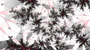 Fractal Art for your - Trippy, red, black, white, psychedelic, trippy, Abstract, fractal, abstract black, red and black HD wallpaper