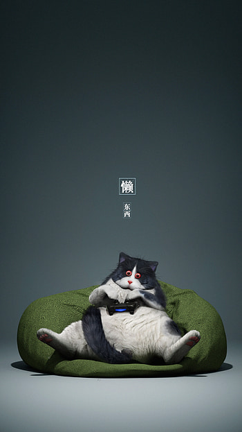Funny, Gamer, Miscellanea, Miscellaneous, Cat, Cool, Controller, Gamepad HD phone wallpaper
