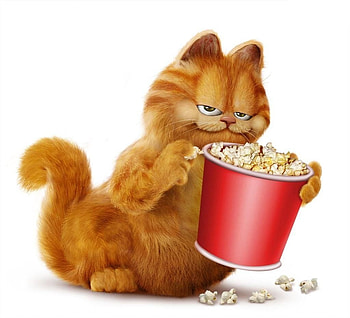 Garfield 2004, red, movie, popcorn, garfield, cat, orange, afis, white, poster, ginger, pisici HD wallpaper
