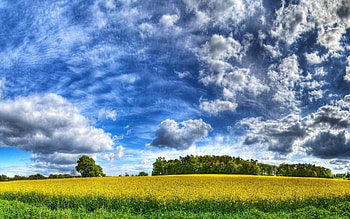 Landscape, Nature HD wallpaper