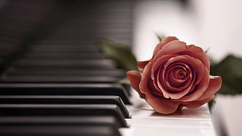 Piano, elegance, Musical inspiration, Harmonic background HD wallpaper
