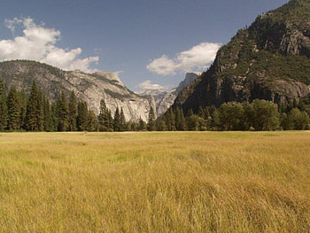 Nature, trees, mountains HD wallpaper