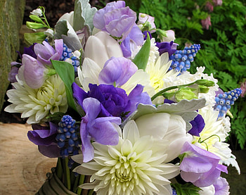 Flowers, Chrysanthemum, Lily Of The Valley, Bouquet, Spring, Muskari, Muscari HD wallpaper