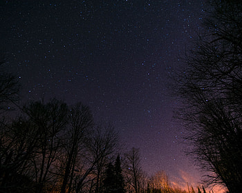 Nature, Trees, Stars, Night, Starry Sky HD wallpaper