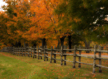 Colors of autumn, fall, colors, beautiful, country, background, leaves, road, nature, fench, amazing HD wallpaper