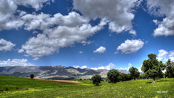 Landscape, Nature, Trees, Mountains, Field HD wallpaper