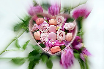 ✿⊱•╮Sweet Pink Heart╭•⊰✿, beloved valentines, graphy, roses, lovely still life, love four seasons, pink, flowers, romantic, heart, macarons, chic HD wallpaper