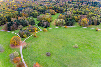 Nature, Trees, View From Above, Field, Track, Tracks HD wallpaper