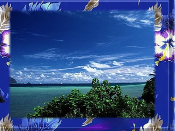 FRAMED OCEAN, trees, flowers, ocean, frame HD wallpaper