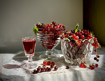 Currants, , Background HD wallpaper