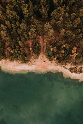 Nature, Sea, Beach, Sand, View From Above, Coast HD phone wallpaper