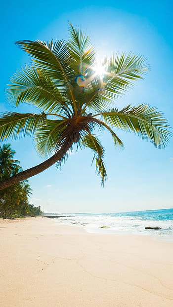 Beach Background, Beautiful, Background HD phone wallpaper