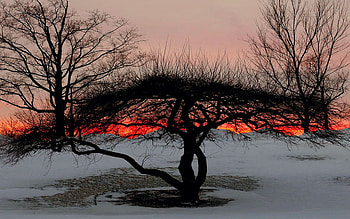 Sunroof, landscape, trees, snow, sunset, sky HD wallpaper