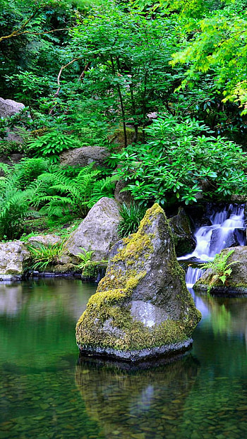 Scenery lake, japan, lake, scenery, nature HD phone wallpaper