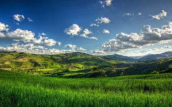 Sunny hills, Nature's beauty, Silent hill vibes, Faith Hill's inspiration HD wallpaper