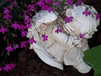 •✿• Peace with himself •✿•, resting, peaceful, angel, small, statue, wings, white, garden, beautiful, heavenly, purple, love, green, nature, flowers, tiny, forever HD wallpaper