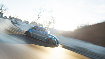 Beetle, Forza Horizon 4, 2019 HD wallpaper