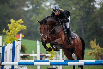 Athletic leaps, Equine power, Skilled riders, Dramatic jumps HD wallpaper
