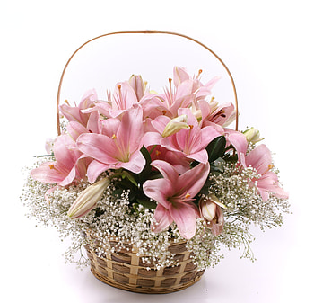 Bouquet, graphy, beauty, nice, basket, flower, , white, elegantly, beautiful, lily, gently, still life, pink, pretty, cool, flowers, lilies, lovely, harmony HD wallpaper