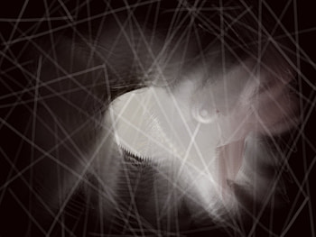 TheGnu, abstract, crazy, dark, gnu HD wallpaper