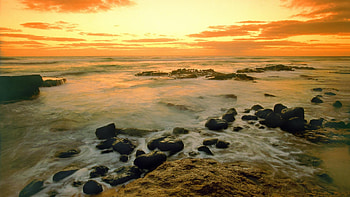 Seascape travels, Hawaiian background art, Vector nature, Tropical beauty HD wallpaper